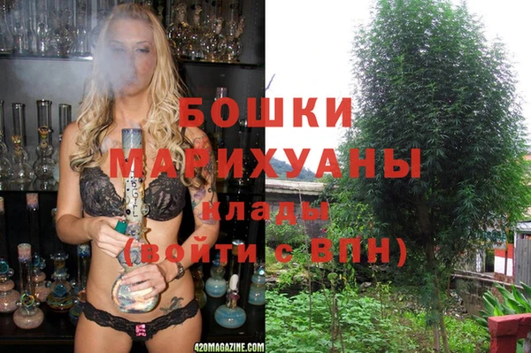 ешки Белокуриха