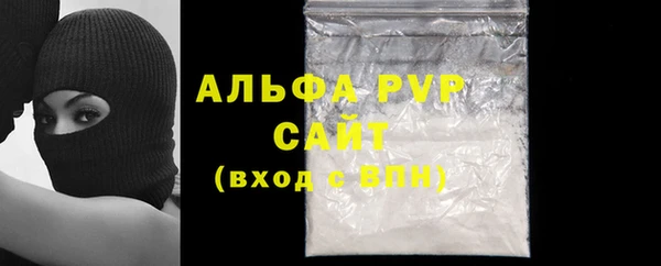 ешки Белокуриха