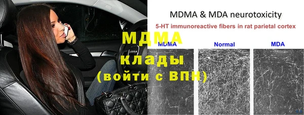 ешки Белокуриха