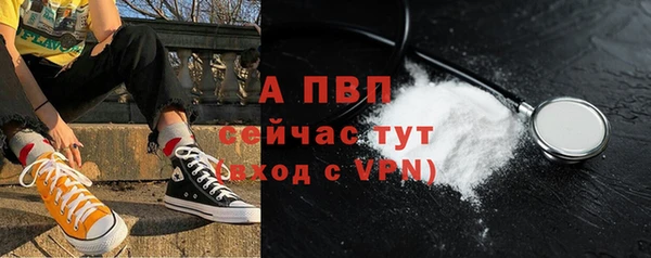 ешки Белокуриха