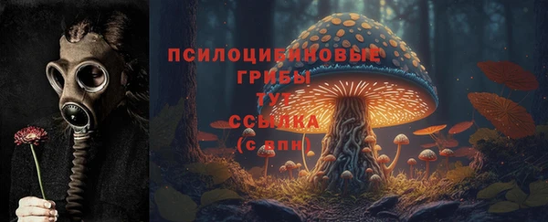 ешки Белокуриха
